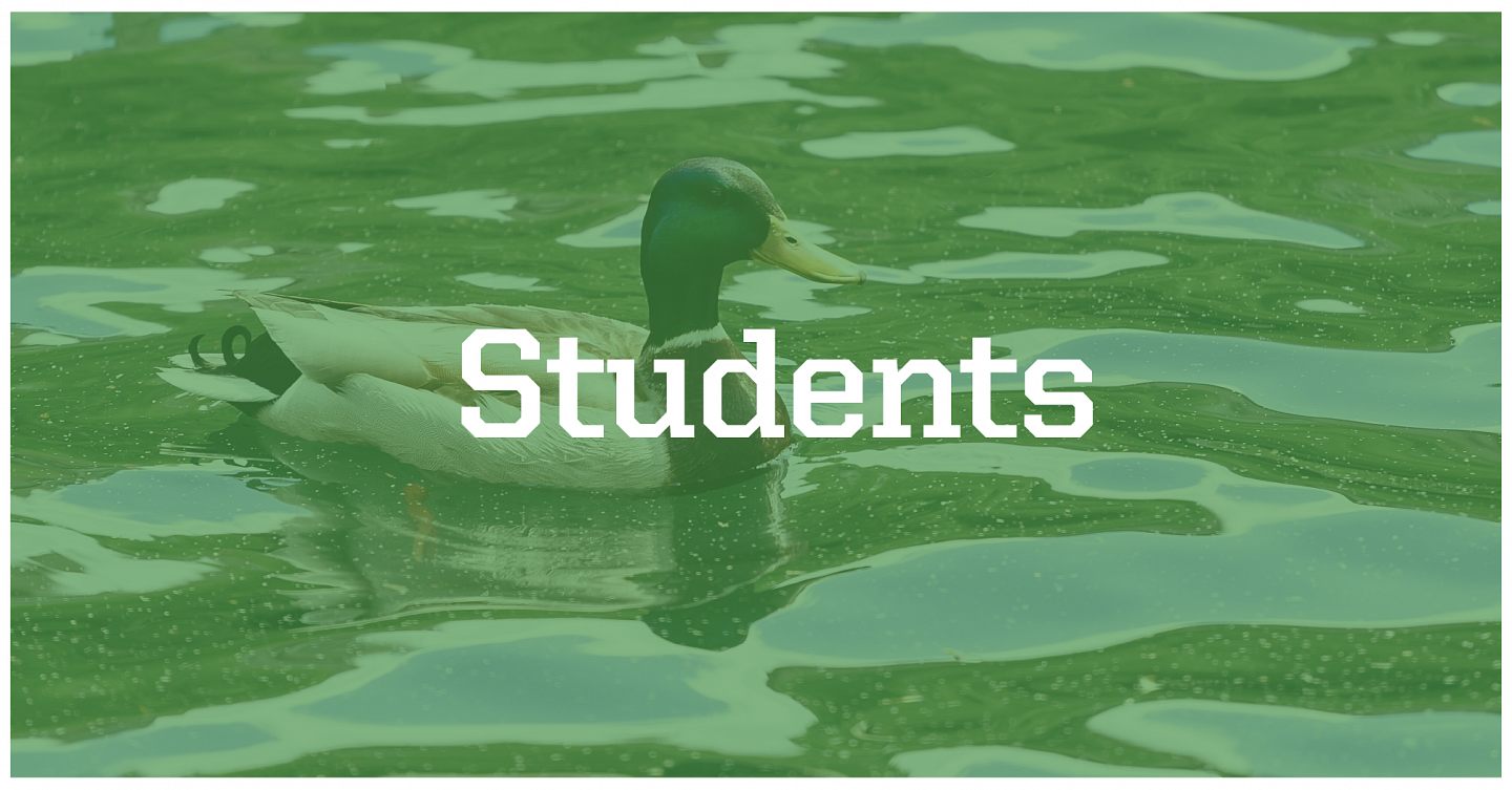 For Students