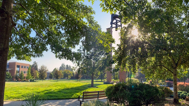 Light through trees, bench, bell tower