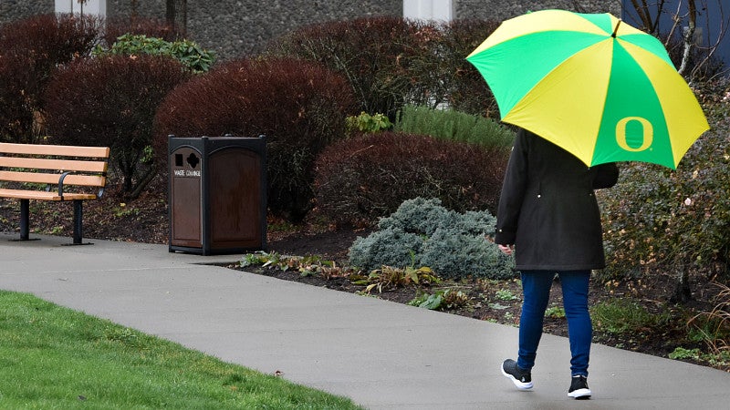 A person walks down a path in the rain with a bright yellow and green "O" umbrella.