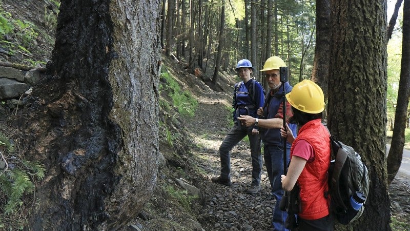 Retired U.S. Forest Service ecologist Robin Dobson describes wildfire effects to multimedia journalism master’s student and OPB reporter Cassandra Profita as she records 360 video in the Oneonta Gorge. Photo by Jay Kosa.