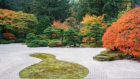 Students can recieve discounts to the Japanese Garden, which features a path surrounded with different types of trees.