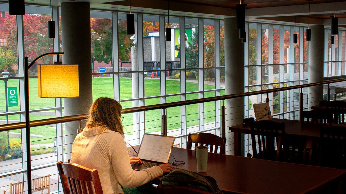 A student studies at a desk in the library, looking out over the campus green. 