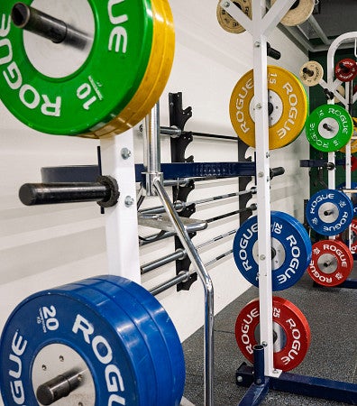 Colorful weights plates and barbells in the fitness center