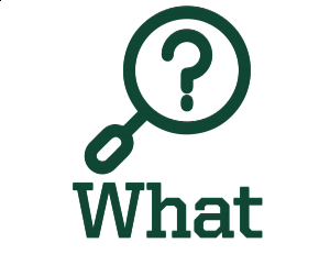 What? What? graphic