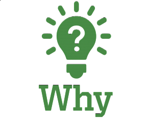 Why? Why? graphic