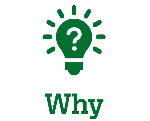 Why? Why? graphic